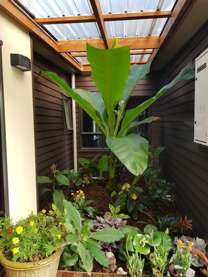 Heta Road B&B New Plymouth Eksteriør billede